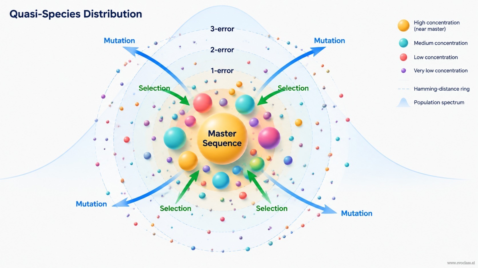 Teaching visual