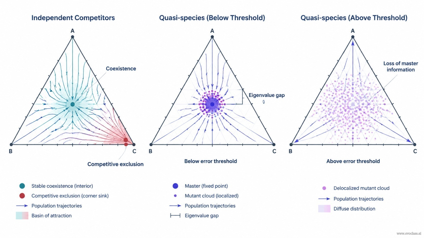 Teaching visual