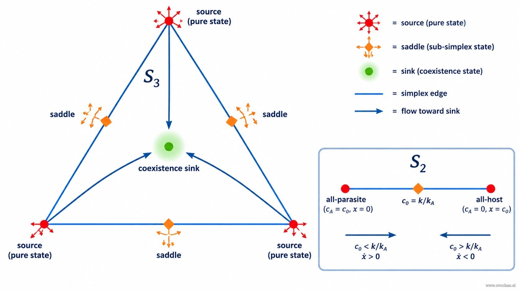 Teaching visual