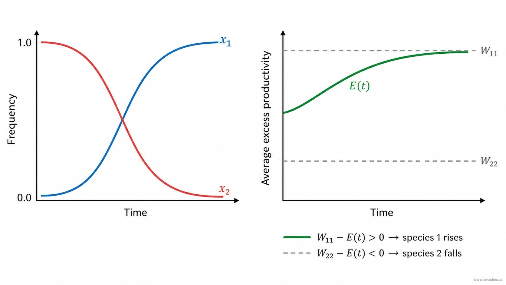Teaching visual