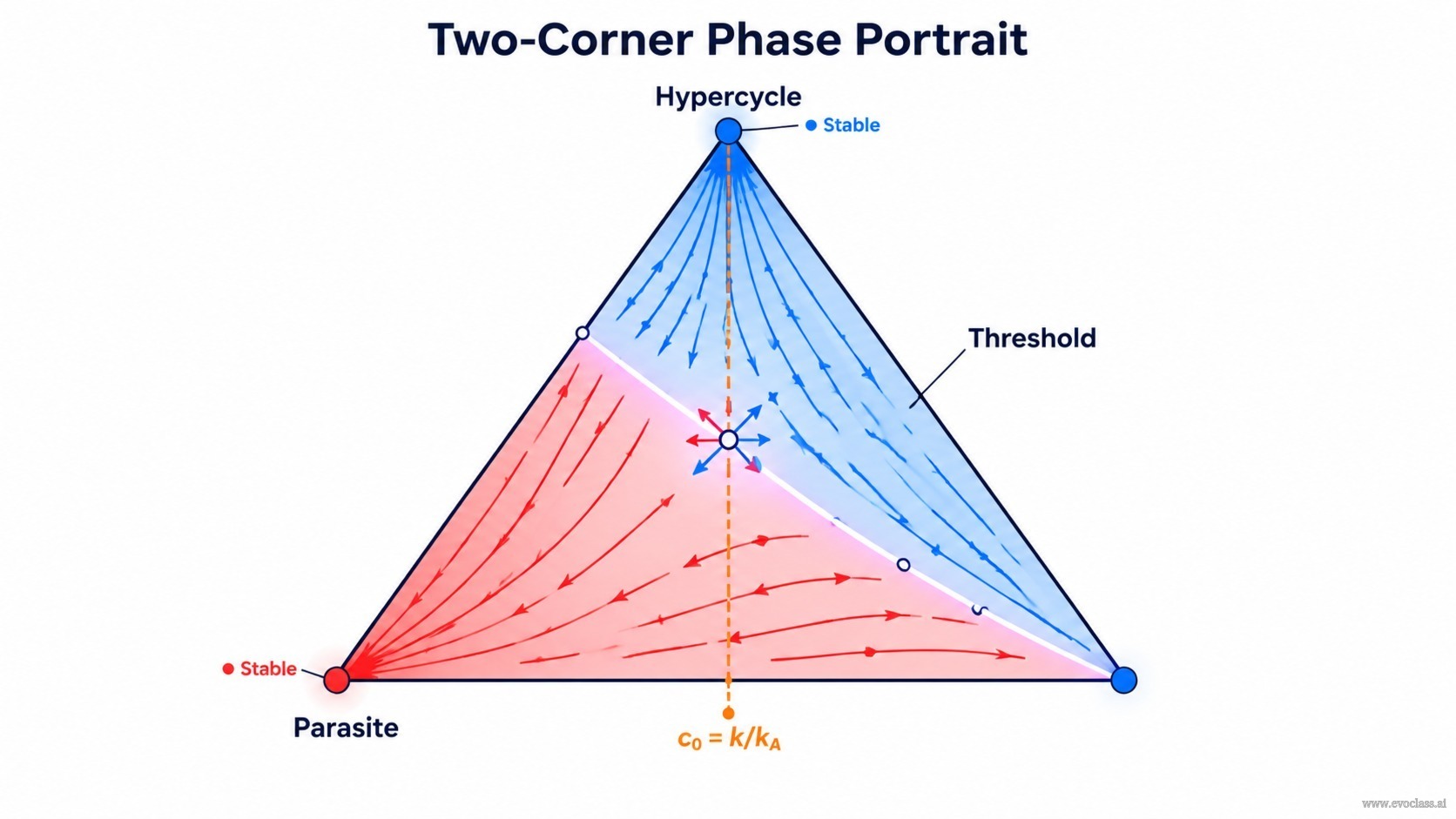Teaching visual