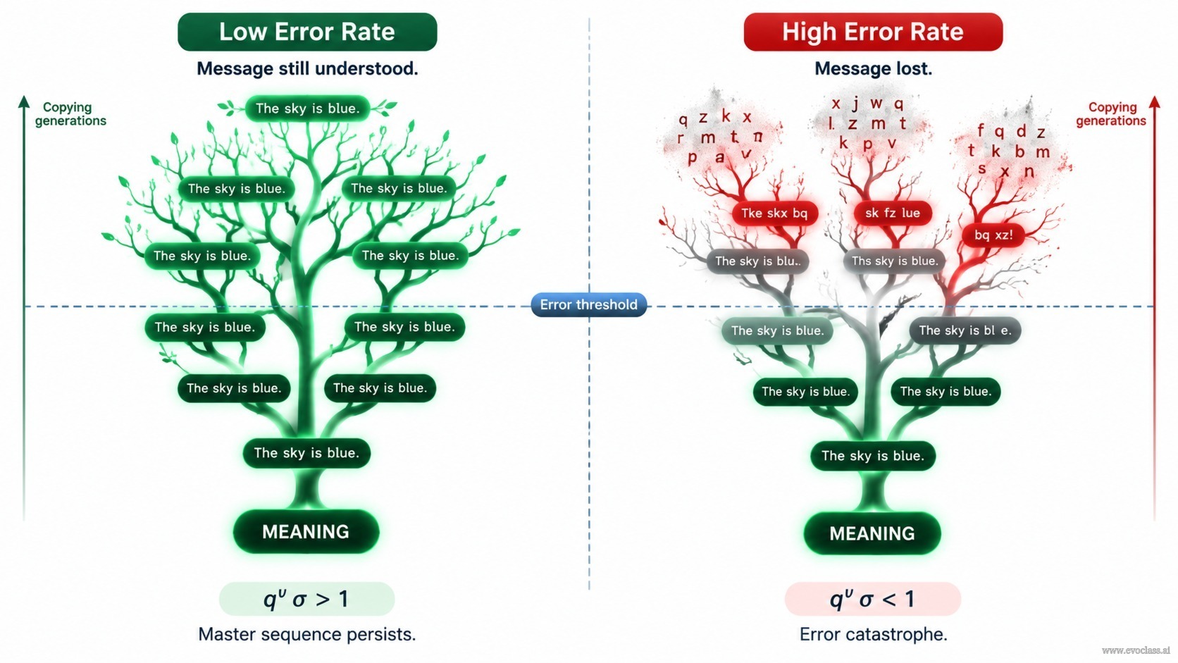 Teaching visual