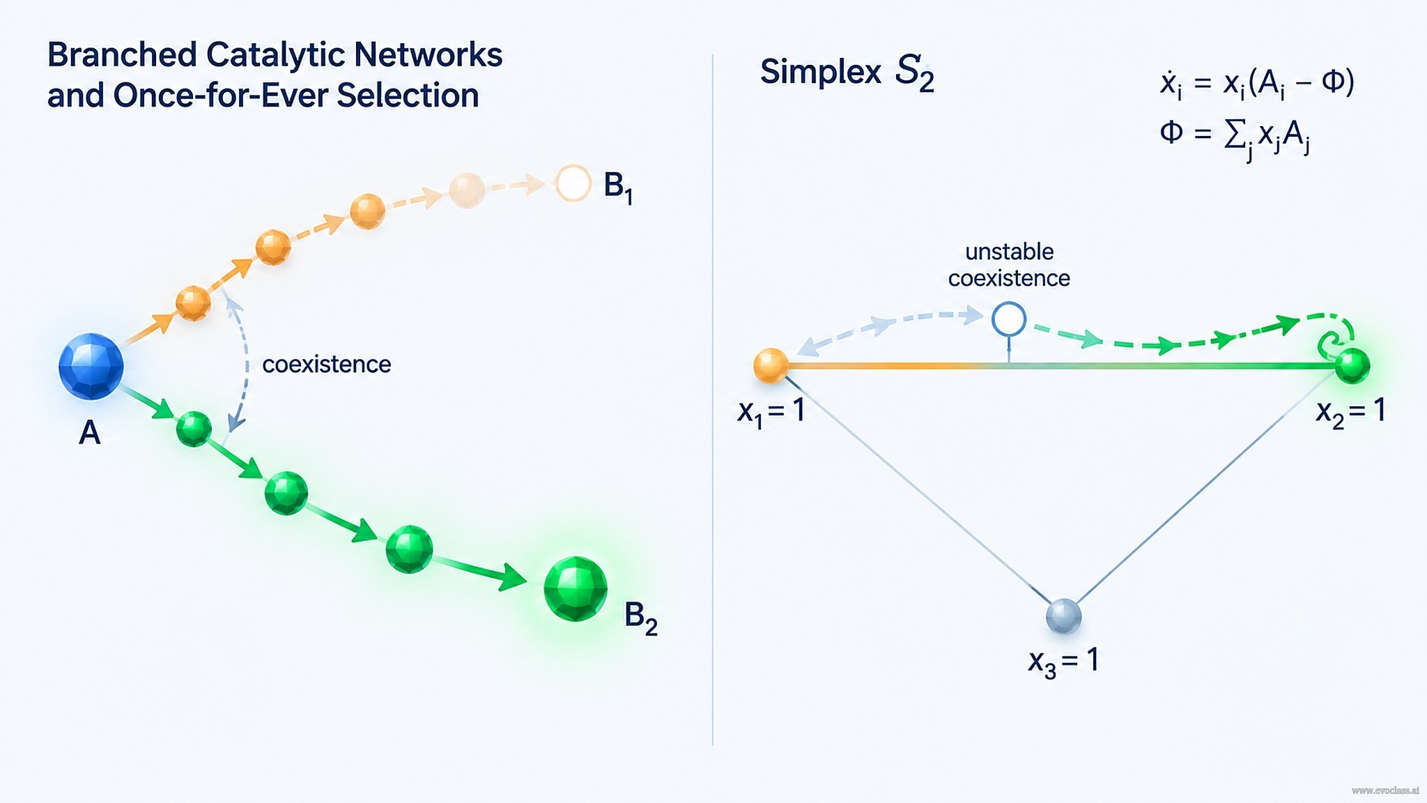 Teaching visual