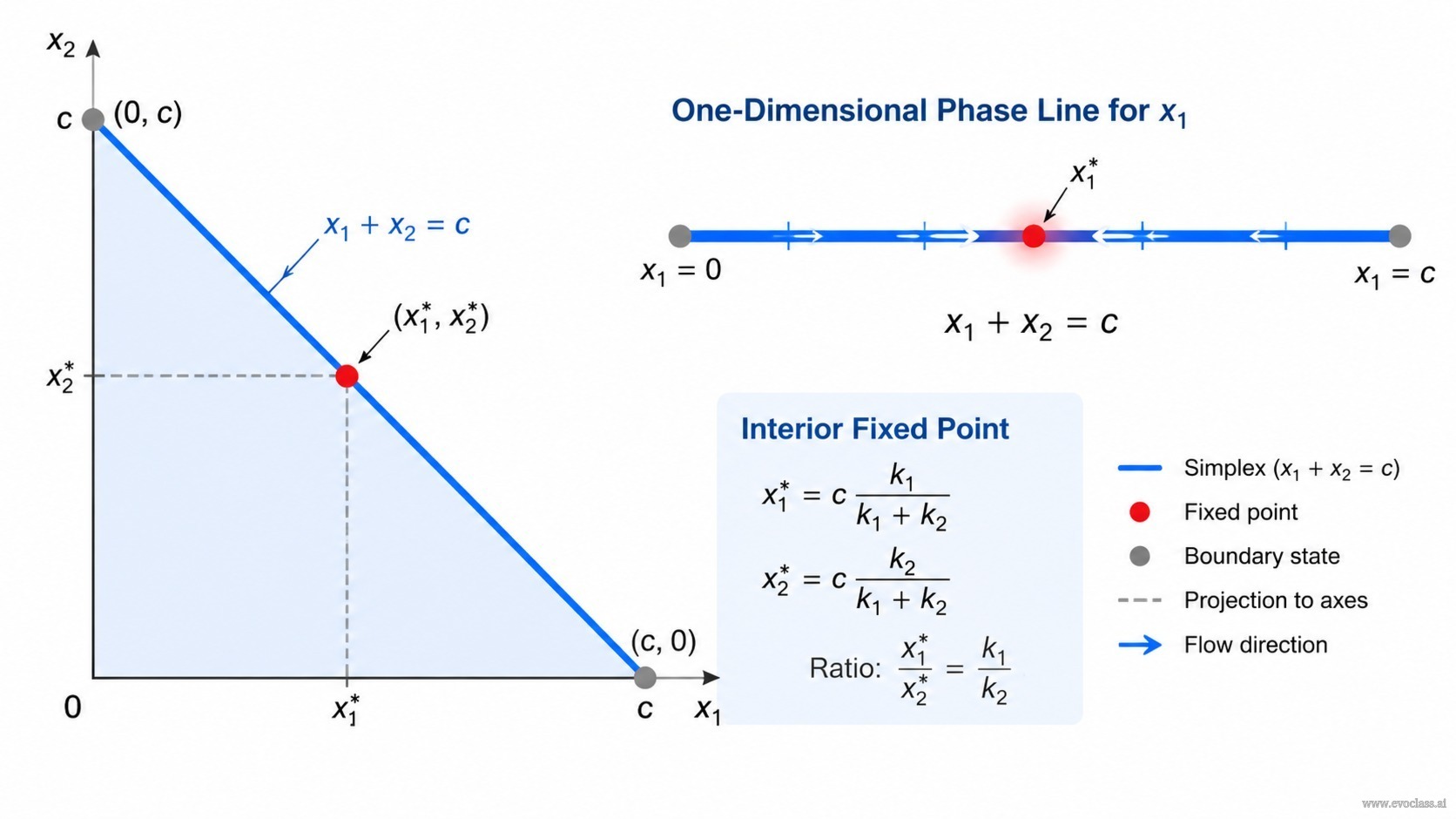 Teaching visual