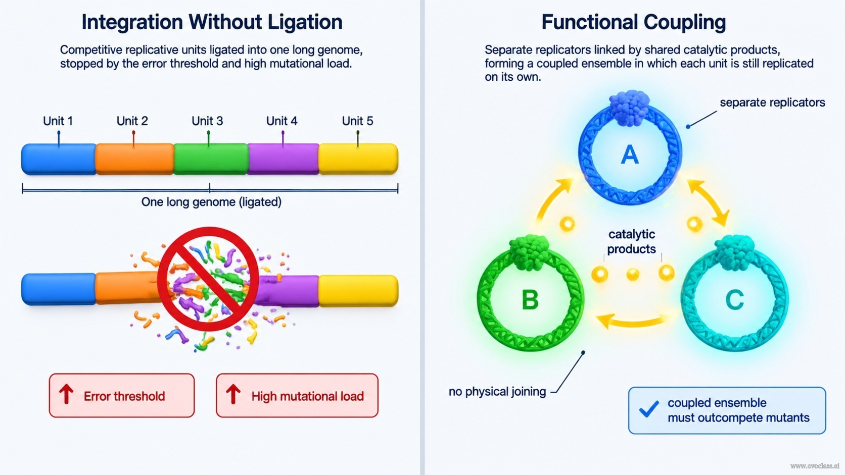 Teaching visual