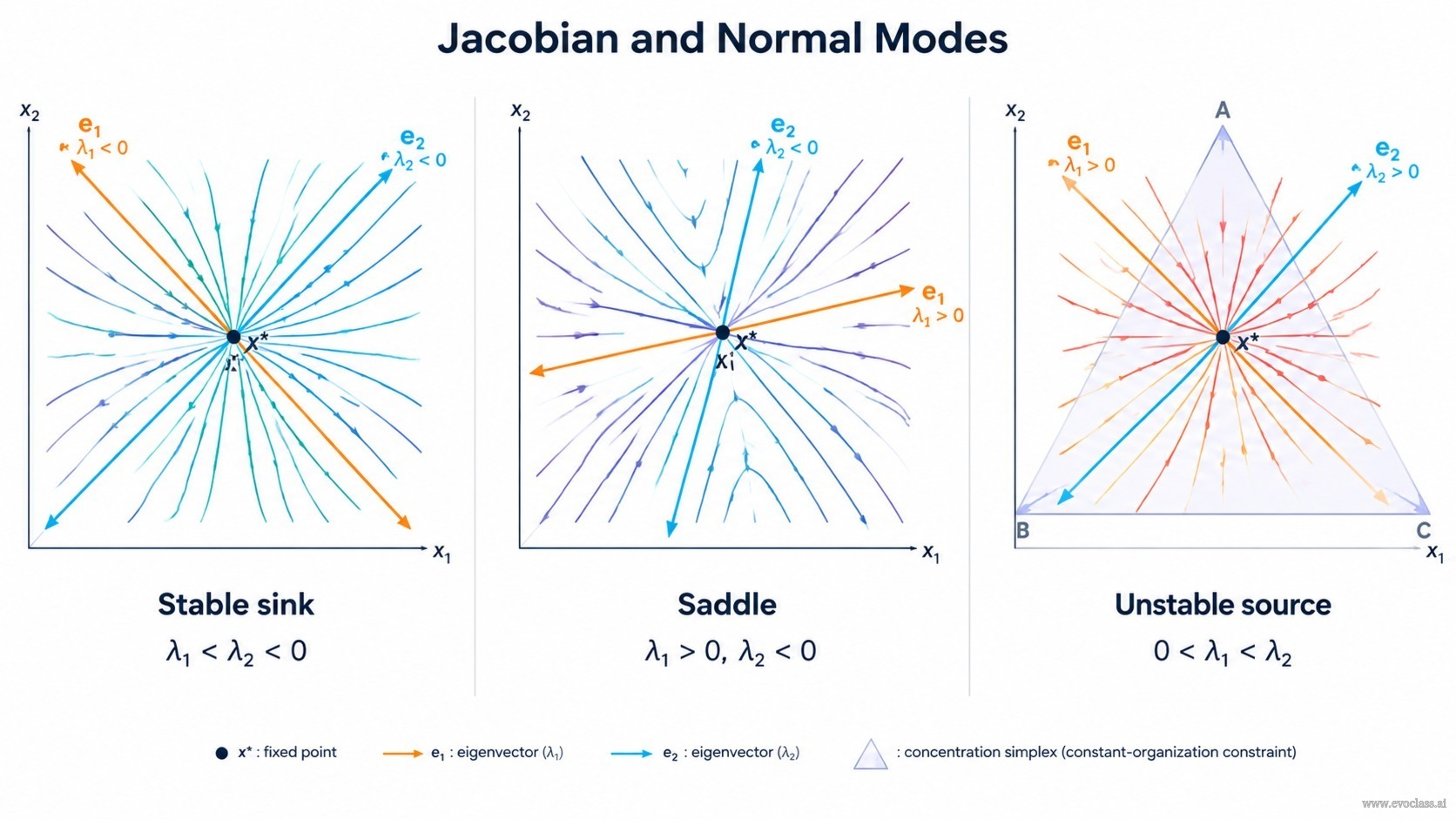 Teaching visual